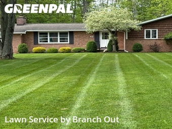Yard Mowing nearby Elma Center, NY, 