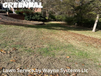 Lawn Cut nearby Jefferson City, MO, 