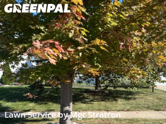 Lawn Mowing in Berea, 44017, Lawn Work by Mgc Stratton, work completed in Dec , 2025