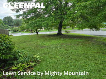 Lawn Care nearby Knoxville, TN, 