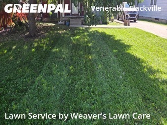 Lawn Cut nearby Indianapolis, IN, 