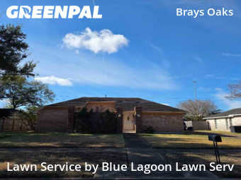 Grass Cutin Houston,77031,Yard Cutting by Blue Lagoon Lawn Serv, work completed in Feb , 2026