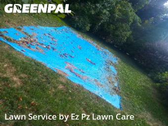 Yard Maintenance in Binghamton, 13901, Yard Management by Ez Pz Lawn Care, work completed in Nov , 2025