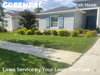 Yard Management in Fish Hawk, 33547, Backyard Mowing by Cnp Lawn Care, work completed in Nov , 2025