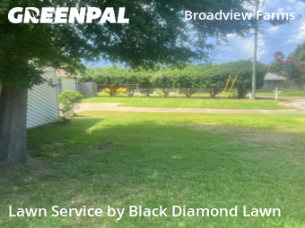 Grass Cutting nearby Pensacola, FL, 