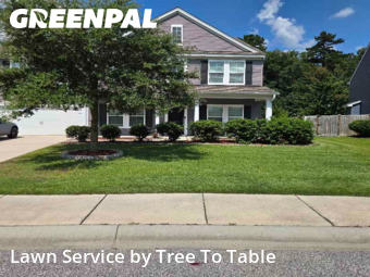Yard Cutting nearby Charleston, SC, 