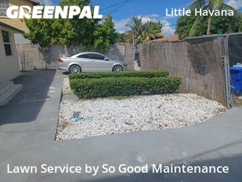 Lawn Cutting nearby Miami, FL, 