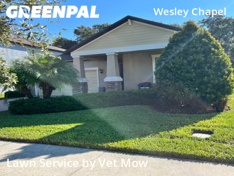 Grass Cut nearby Wesley Chapel, FL, 
