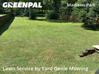 Lawn Cut nearby Charlotte, NC, 