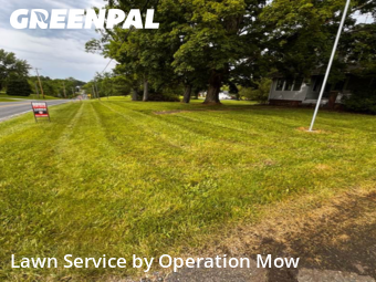 Yard Upkeep in Alliance, 44601, Weekly Mowing by Operation Mow, work completed in Nov , 2025