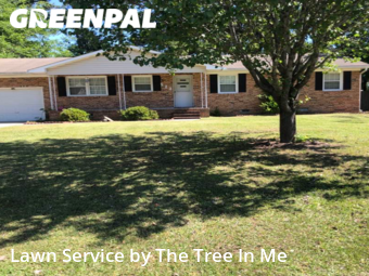 Lawn Mow nearby Jacksonville, NC, 