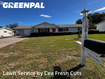 Yard Cutting nearby Ocala, FL, 