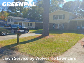 Yard Upkeep in Summerville, 29485, Yard Work by Wolverine Lawncare, work completed in Nov , 2025