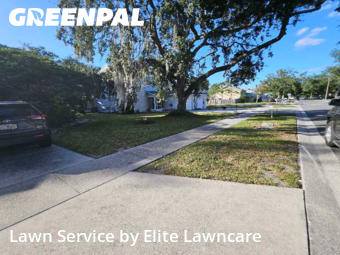 Lawn Care Service nearby Tampa, FL, 