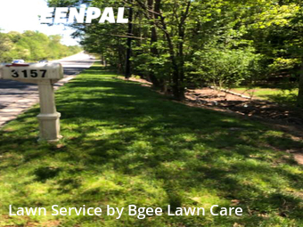 Lawn Mowing Service nearby Rock Hill, NC, 