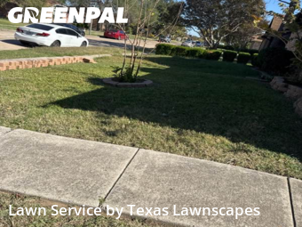 Lawn Mowingin The Colony,75056,Grass Cut by Texas Lawnscapes, work completed in Nov , 2025