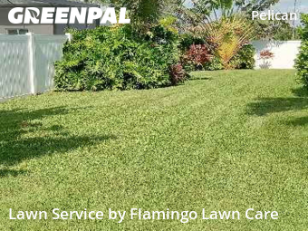 Yard Mowing in Cape Coral, 33914, Yard Management by Flamingo Lawn Care, work completed in Oct , 2025