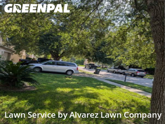 Grass Cuttingin Ocoee,34761,Lawn Cutting by Alvarez Lawn Company, work completed in Nov , 2025