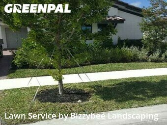 Grass Cut nearby Royal Palm Beach, FL, 
