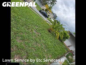 Property Maintenance in Bayonet Point, 34668, Lawn Maintenance by Etc Services Fl, work completed in Nov , 2025