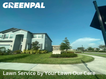 Lawn Mowing Service nearby Wesley Chapel, FL, 