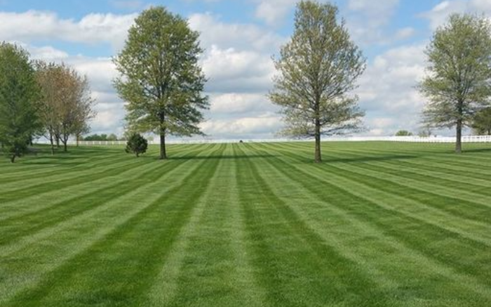 Work Image 1
