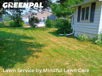 Grass Cutting nearby Ypsilanti, MI, 
