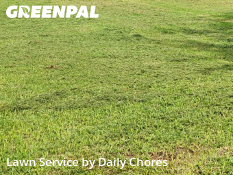 Yard Work in Wichita Falls, 76308, Lawn Management by Daily Chores, work completed in Oct , 2025