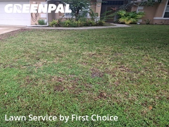 Lawn Service nearby Palm Coast, FL, 