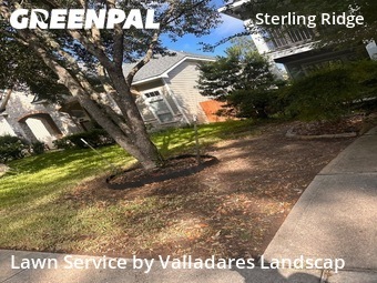 Grass Cutin The Woodlands,77382,Lawn Mowing Service by Valladares Landscap, work completed in Oct , 2025