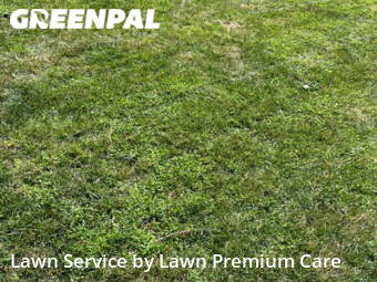 Grass Cutting nearby Bellevue, NE, 