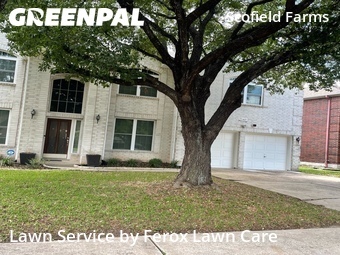 Lawn Service nearby Austin, TX, 