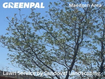 Lawn Mowing nearby Lubbock, TX, 