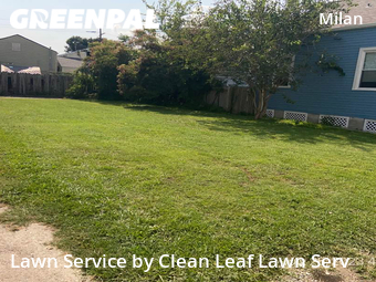 Grass Cut nearby New Orleans, LA, 