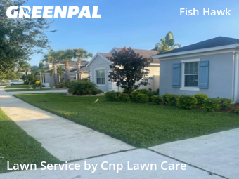 Grass Cut nearby Fish Hawk, FL, 