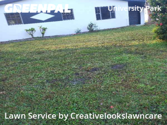 Grass Cutting in Melbourne, 32901, Lawn Work by Creativelookslawncare, work completed in Nov , 2025
