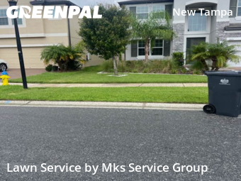 Yard Cutting nearby Tampa, FL, 
