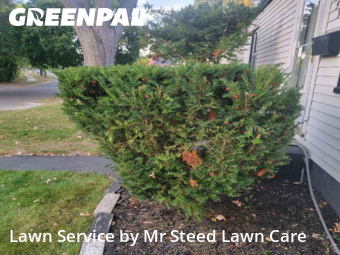 Landscaping Maintenance in Pontiac, 48341, Lawn Maintenance by Mr Steed Lawn Care, work completed in Nov , 2025