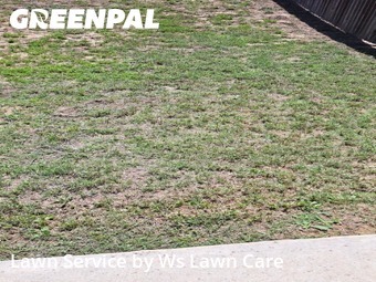 Lawn Care Servicein Schertz,78108,Lawn Care by Ws Lawn Care, work completed in Jun , 2026