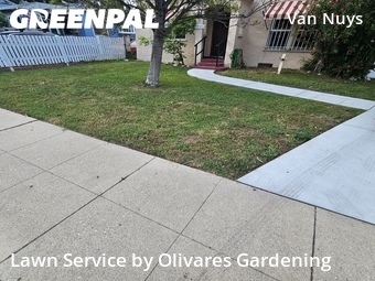 Lawn Mow nearby Los Angeles, CA, 