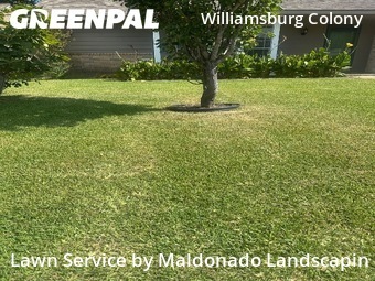 Lawn Cut nearby Katy, TX, 