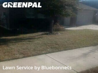 Grass Cut nearby Leander, TX, 