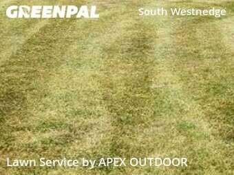 Lawn Mowing Service nearby Kalamazoo, MI, 