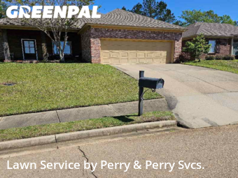Grass Cut nearby Pearl, MS, 