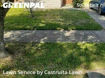 Grass Cut nearby Houston, TX, 