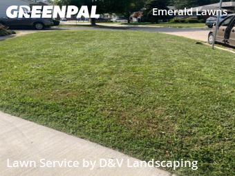 Lawn Cutting nearby Joliet, IL, 