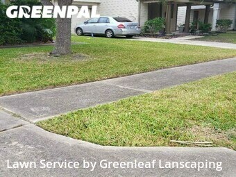 Lawn Cut nearby Houston, TX, 