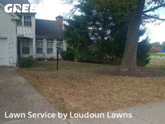 Yard Grooming in Ashburn, 20147, Lawn Upkeep by Loudoun Lawns, work completed in Nov , 2025