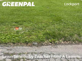 Yard Cutting nearby Terre Haute, IN, 