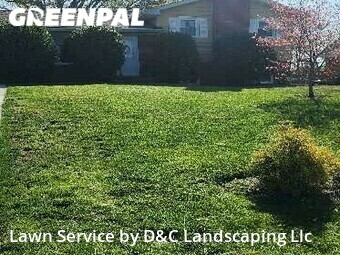 Grass Cut nearby Alexandria, VA, 